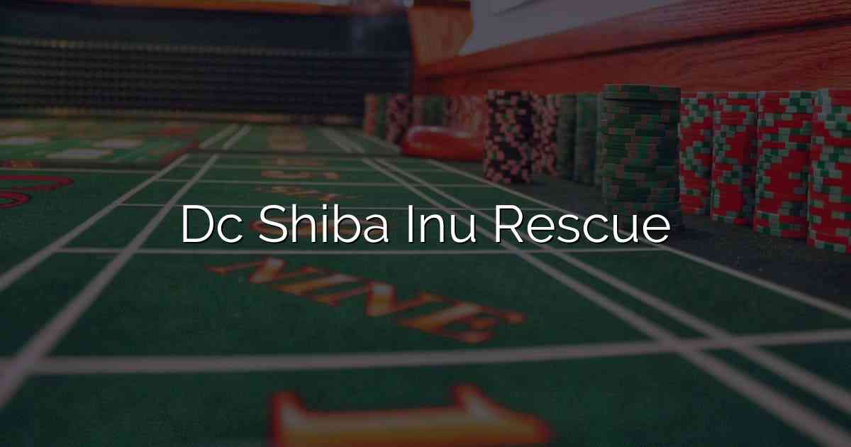 Dc Shiba Inu Rescue